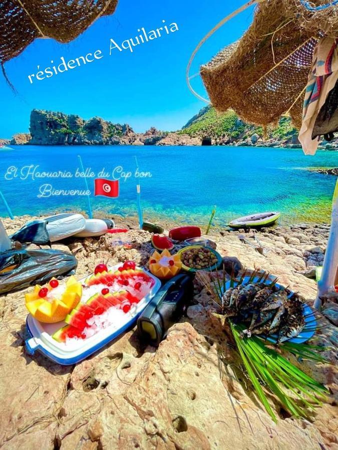 Residence Aquilaria Dar Narjes El Haouaria Εξωτερικό φωτογραφία